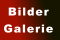 Bilder Galerie